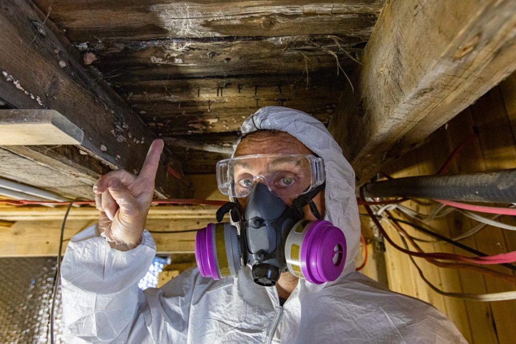 Humid Musty Crawl Space Inspection