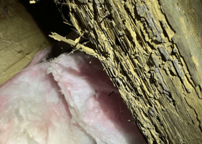 Close-up of wood beam in crawl space showing significant termite damage and wood deterioration.