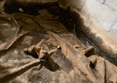 Close-up of a crawl space corner with signs of moisture damage and mold growth on the plastic lining.