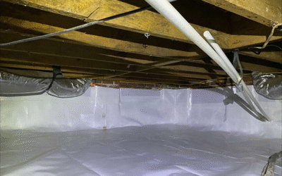 Why Crawl Space and Foundation Repair Is Essential