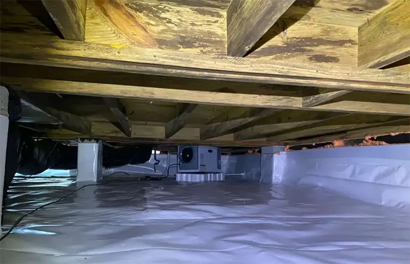 Crawl Space Repair Moisture Control in Jacksonville NC After
