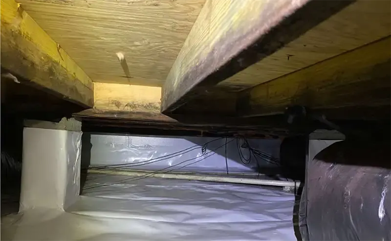 Crawl Space Repair Moisture Control in Jacksonville NC After