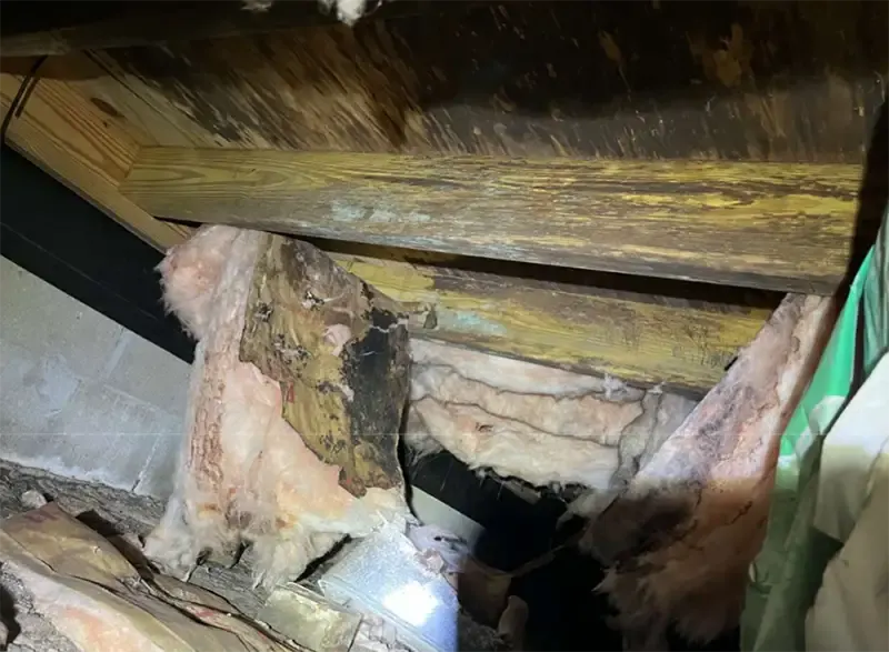 Crawl Space Repair Moisture Control in Jacksonville NC Before
