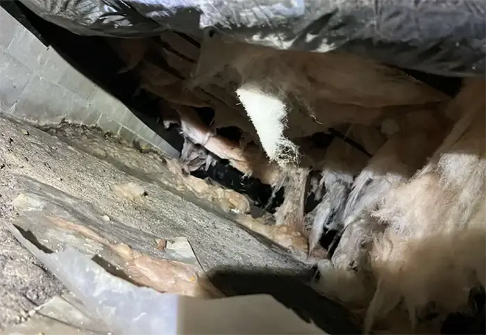 Crawl Space Repair Moisture Control in Jacksonville NC Before