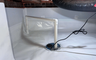 Top 5 Signs Your Crawl Space Needs Encapsulation in Jacksonville, NC