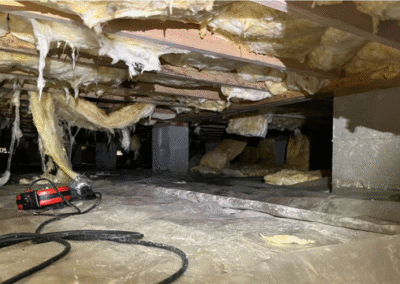 Damaged Insulation And Moldy Crawl Space In Hubert, Nc