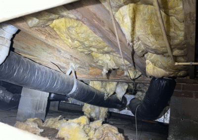 Moisture Damage And Hanging Insulation In Crawl Space