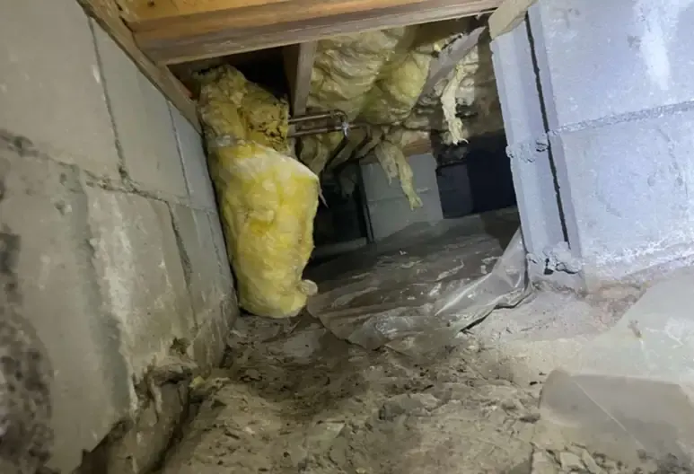 Crawl Space with Fallen Insulation and Moisture Problems