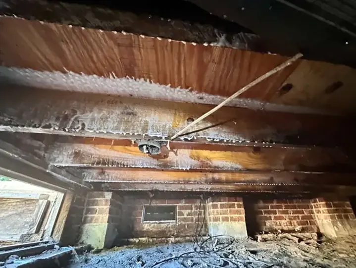 Crawl Space with Moisture Damage and Open Foundation Vents