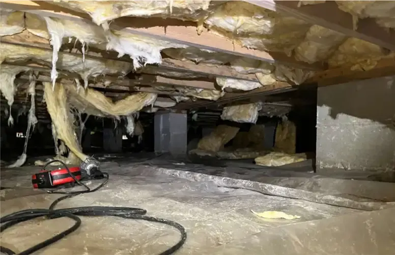 Damaged Insulation and Moldy Crawl Space in Hubert NC
