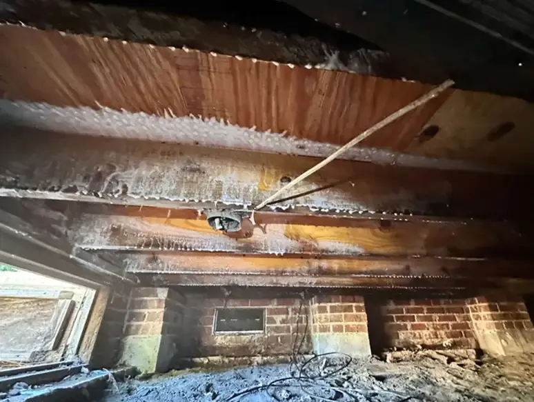 Crawl Space with Moisture Damage and Open Foundation Vents