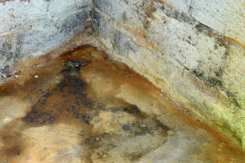 Wet Crawl Space