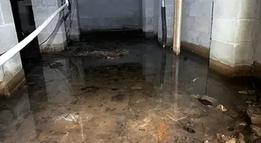 standing water basement waterproofing