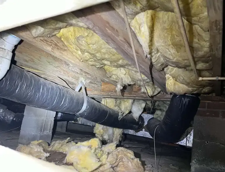 Moisture Damage and Hanging Insulation in Crawl Space