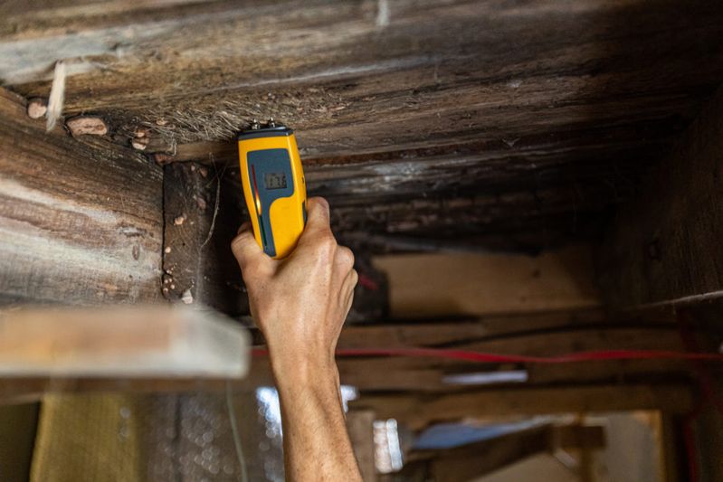Indoor damp & air quality (IAQ) testing