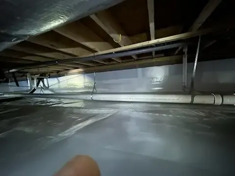 IMG 0203